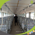 Certified Pig Farming Equipment High Quality Livestock Galvanized Pig Pen